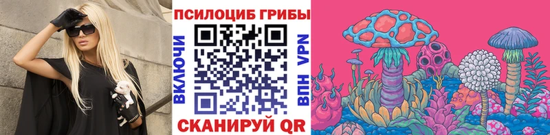 где продают   Покровск  это официальный сайт  Псилоцибиновые грибы GOLDEN TEACHER 